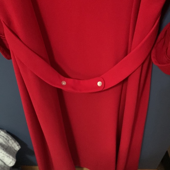 Red Collared Dress - Picture 7 of 7